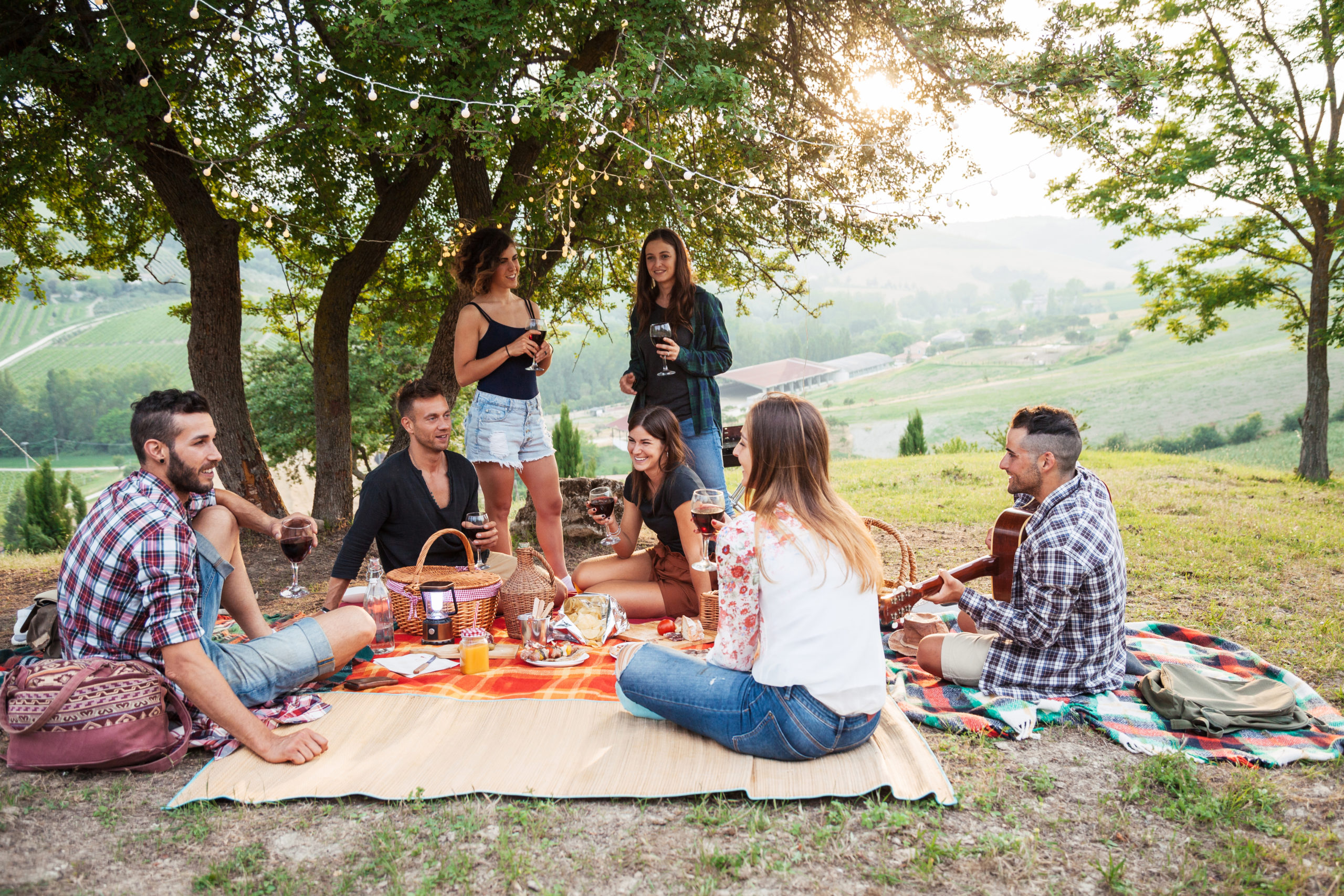 Picnic in the countryside. Group of young friends, at sunset on spring day, are sitting on the ground in a park near trees. They drinking red wine and eating grilled meat with barbecue